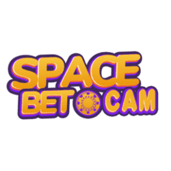 where to buy sudoku books in store
